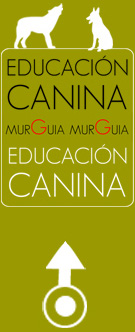 Educación Canina